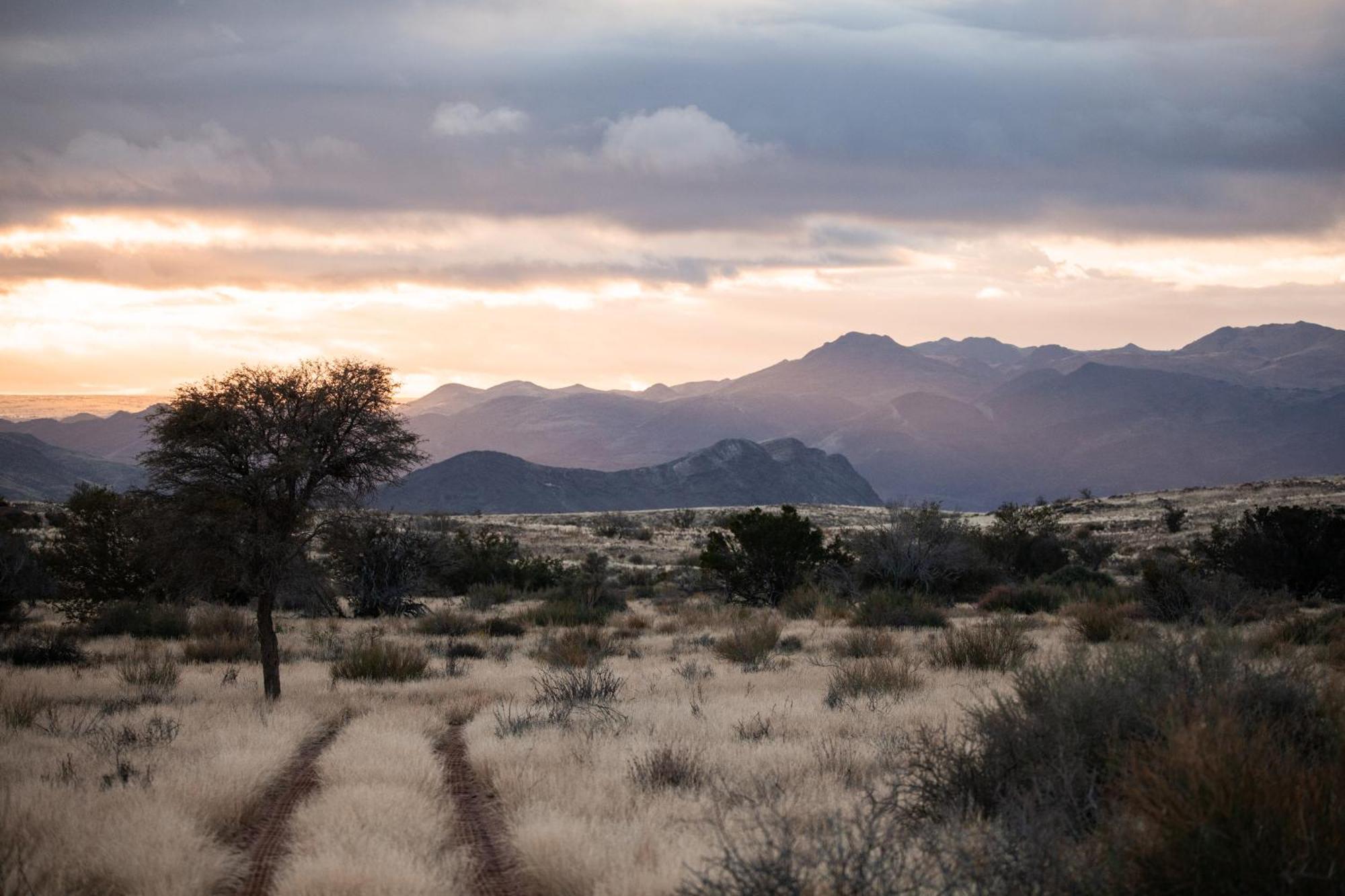 Sandfontein Lodge & Nature Reserve Exteriér fotografie