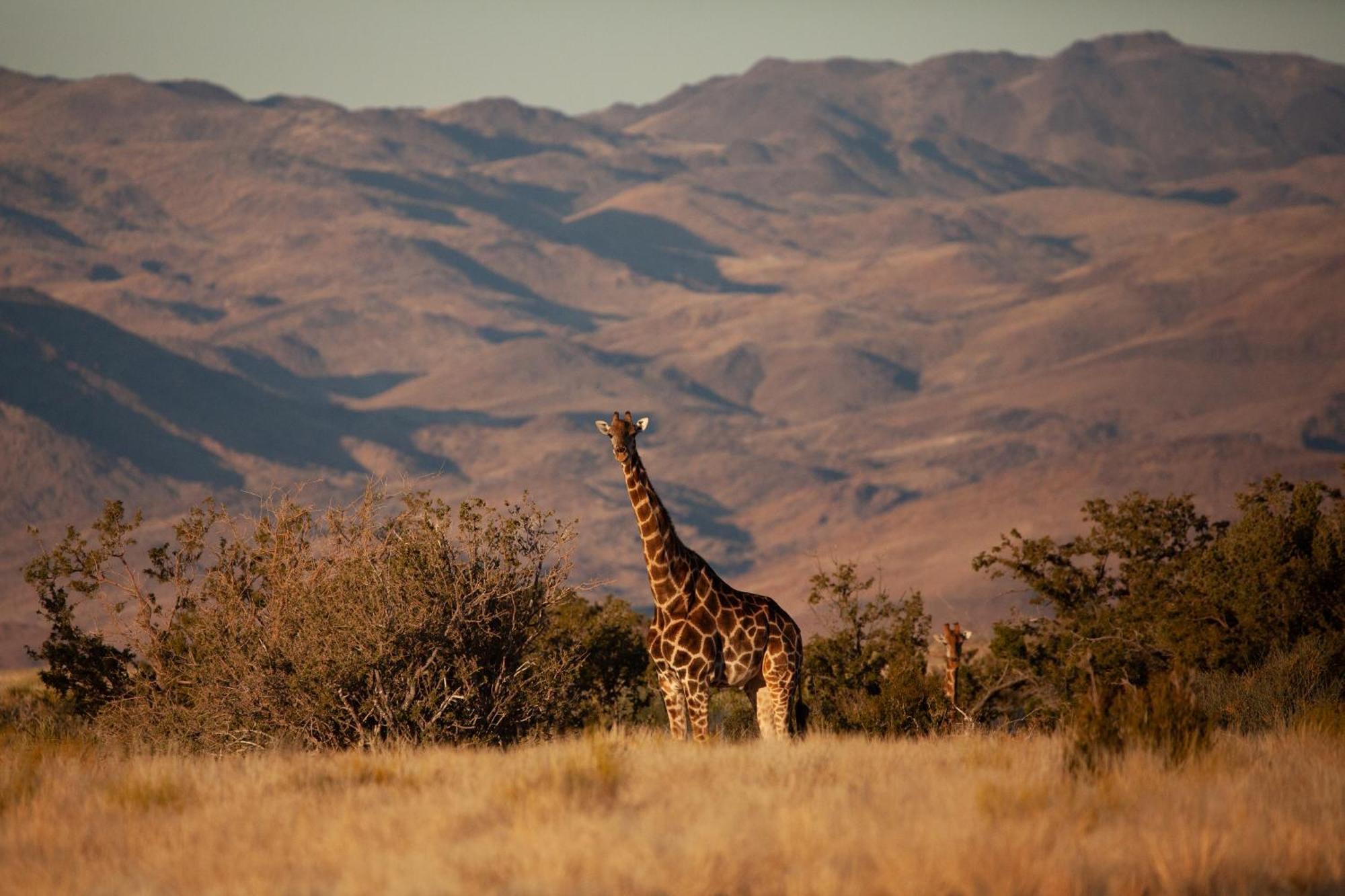 Sandfontein Lodge & Nature Reserve Exteriér fotografie
