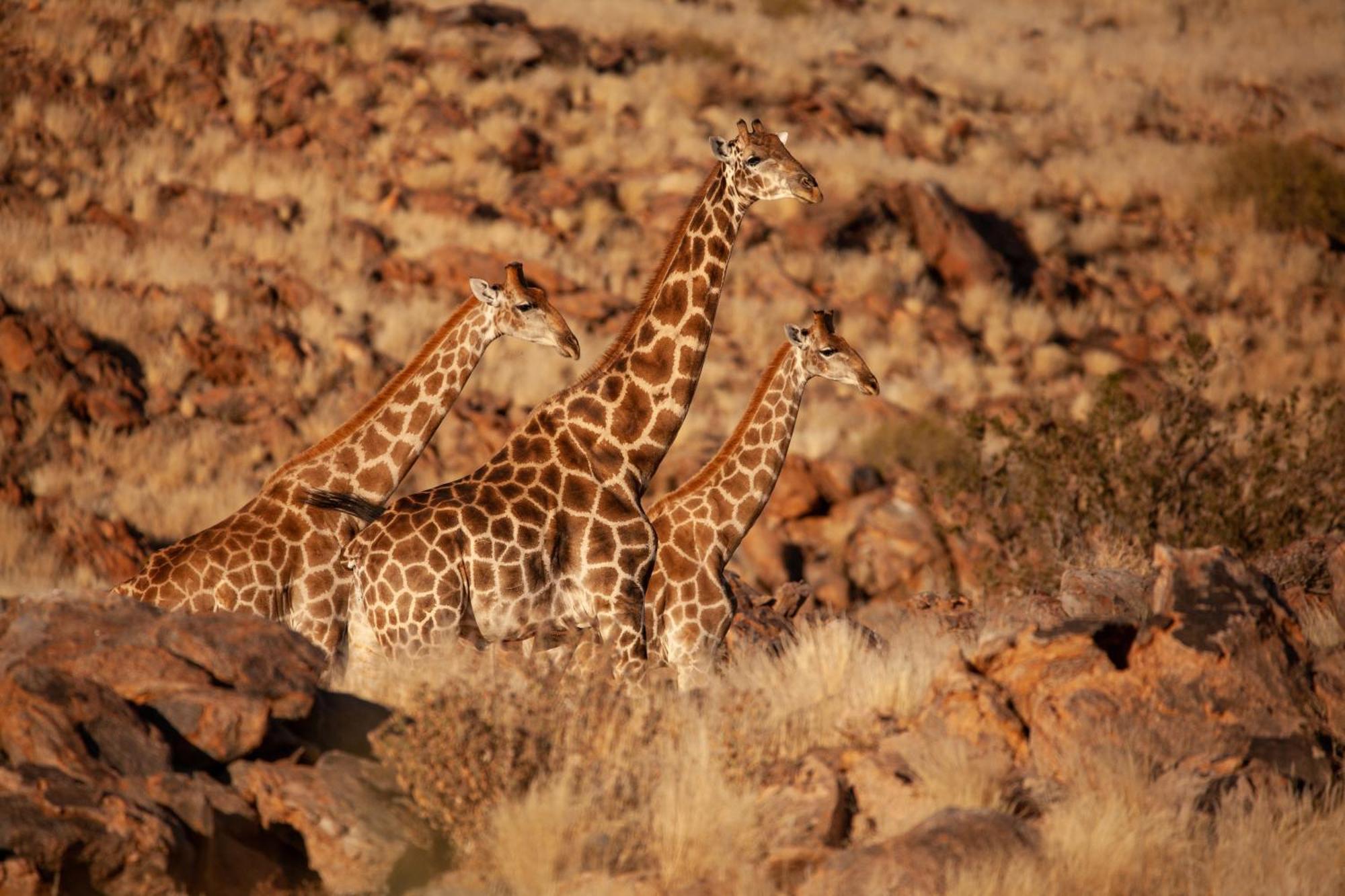 Sandfontein Lodge & Nature Reserve Exteriér fotografie