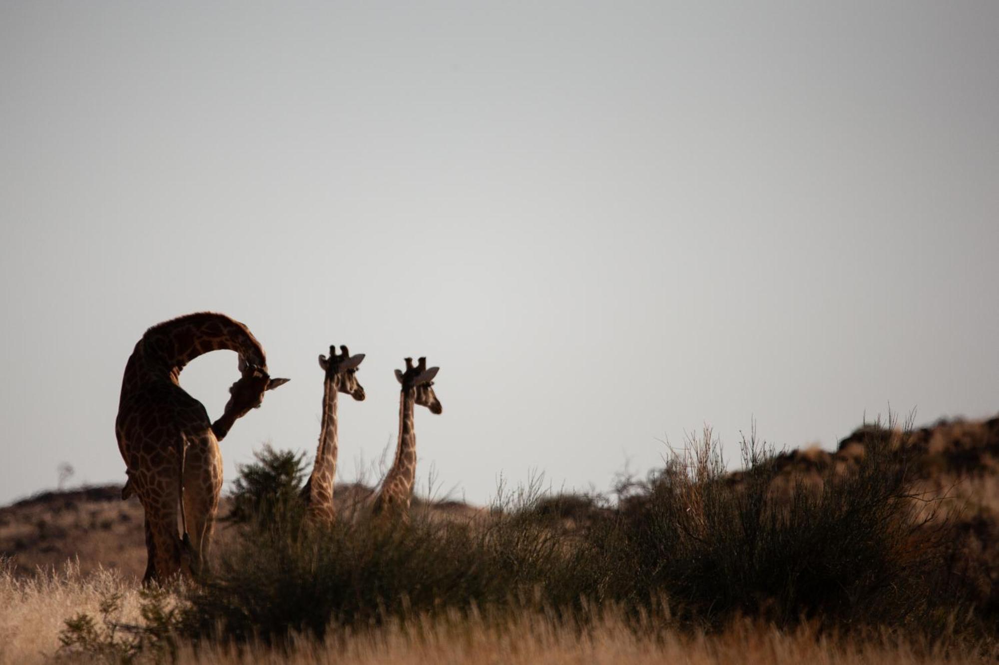 Sandfontein Lodge & Nature Reserve Exteriér fotografie