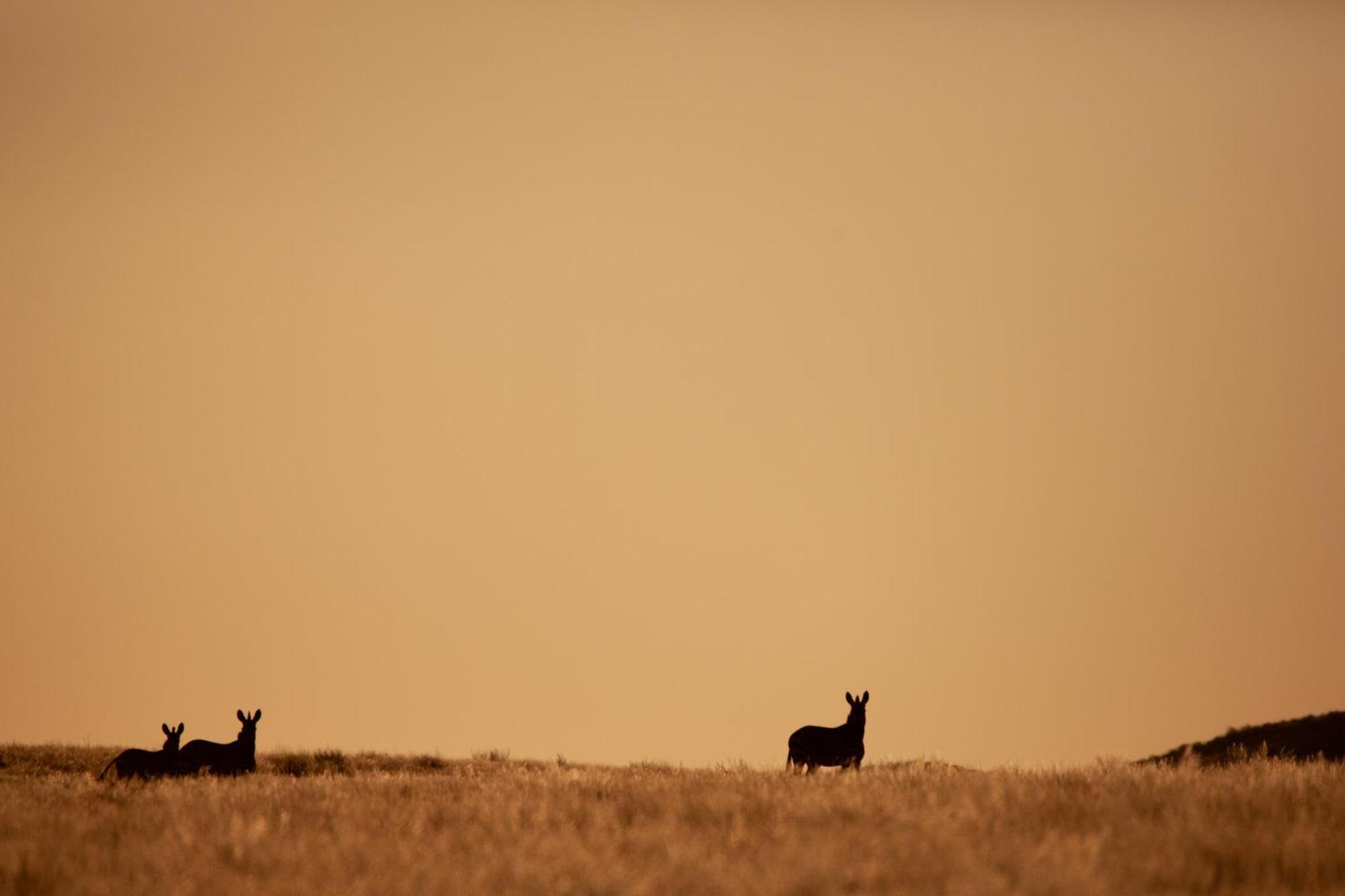 Sandfontein Lodge & Nature Reserve Exteriér fotografie
