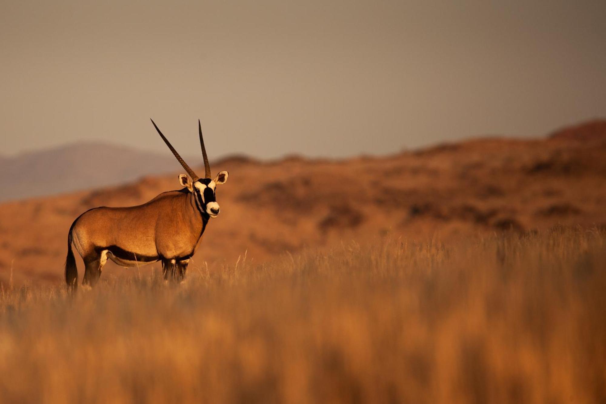 Sandfontein Lodge & Nature Reserve Exteriér fotografie